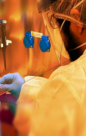 Programa de investigación para mejorar la salud